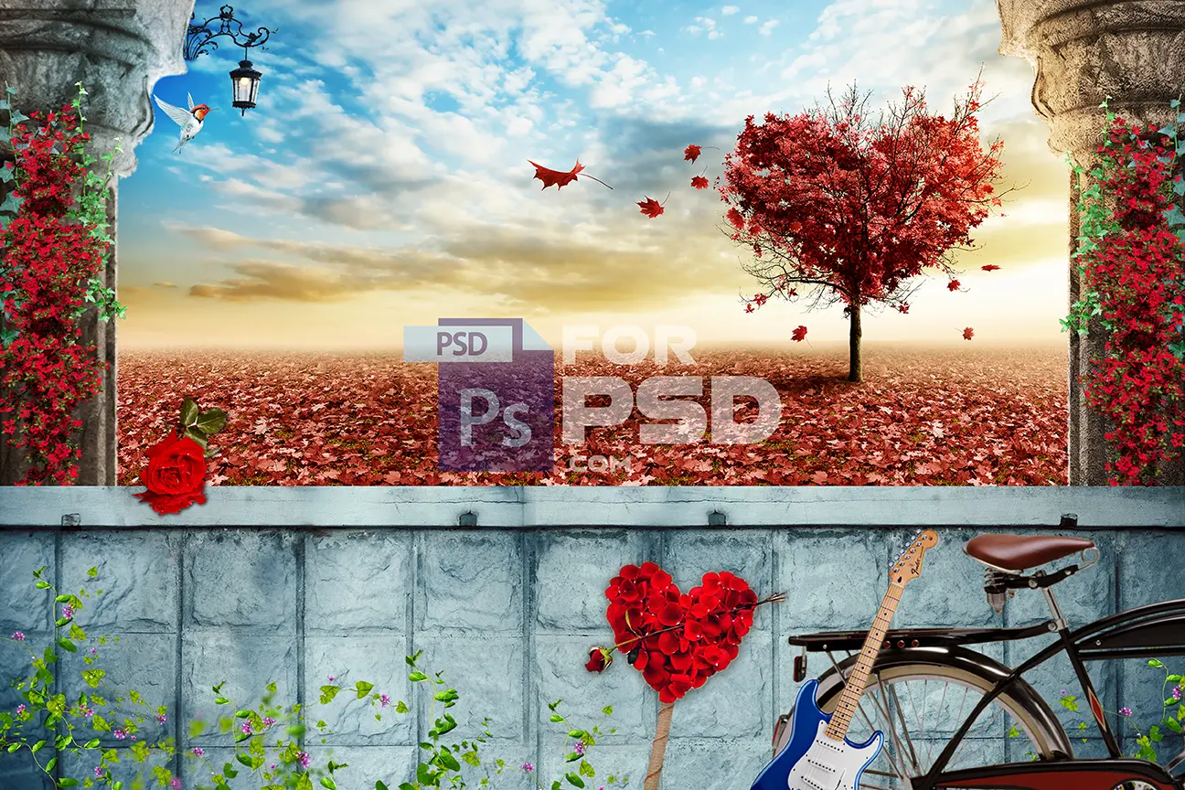 Image Preview